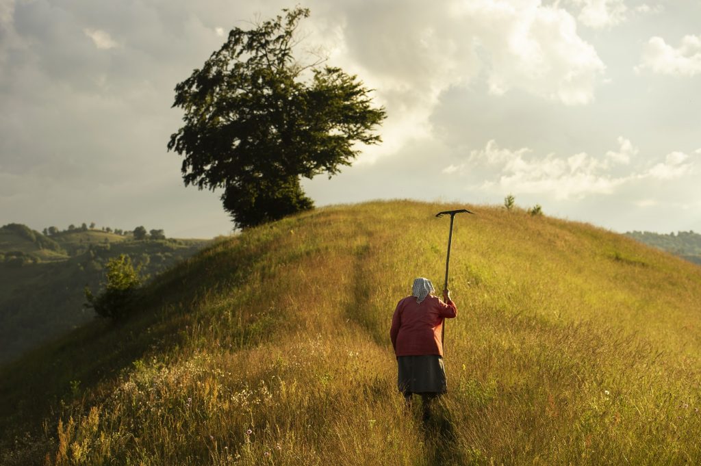 Fotografien aus der Ausstellung „The Life I Love - The Life I Choose“ © Vlad Dumitrecsu